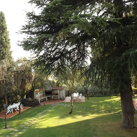 Silvana Villa *